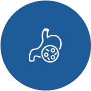 Gastroenterology