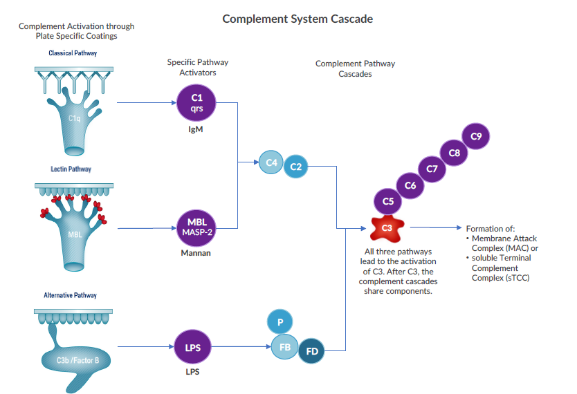 Complement System Cascade