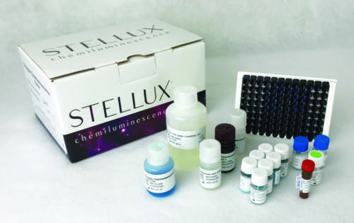 An image of the components of the STELLUX® Chemiluminescence Human Insulin ELISA kit.
